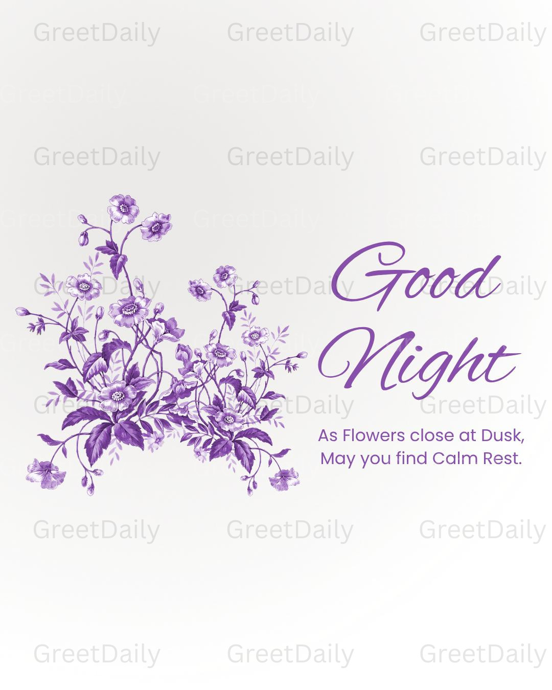 GN1111